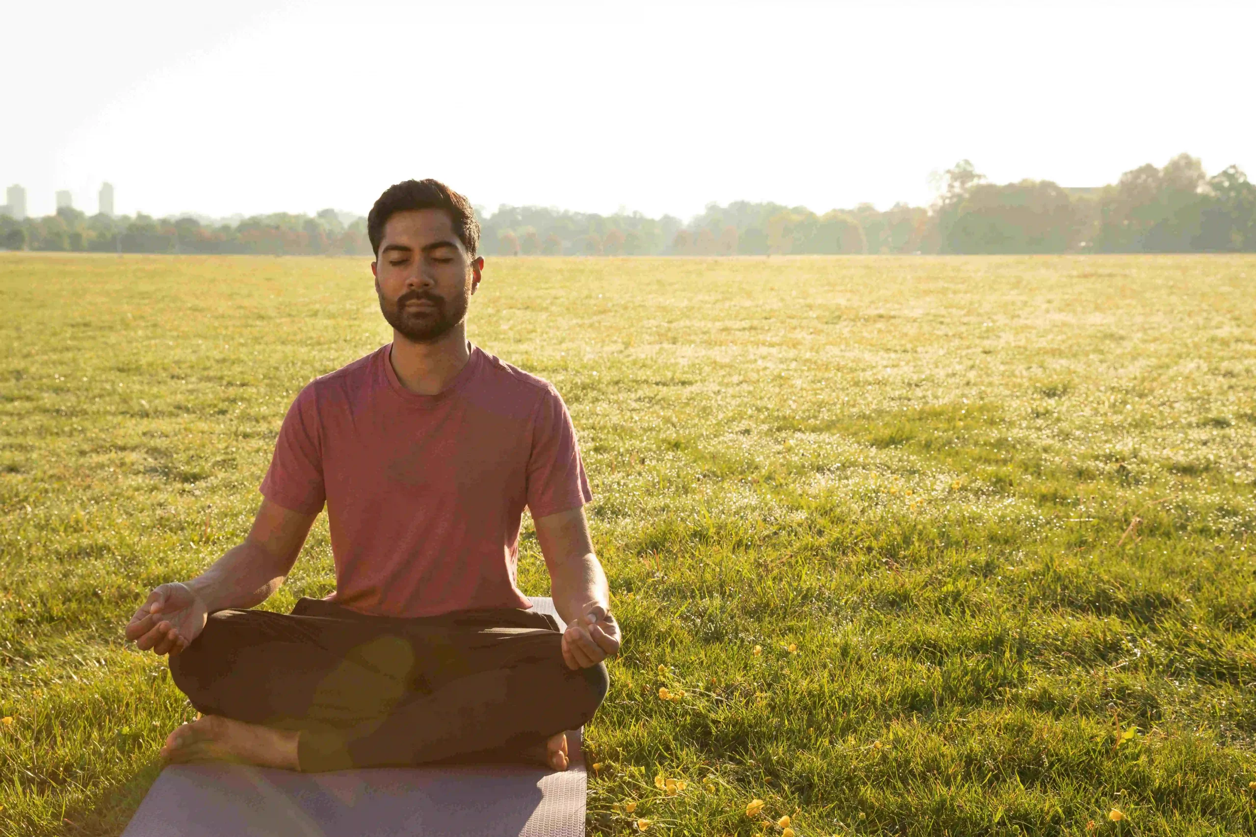 Mindfulness and Meditation : The Key to a Happier and Healthier Life