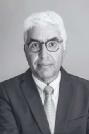 Dr. Hamid Bouchiki 